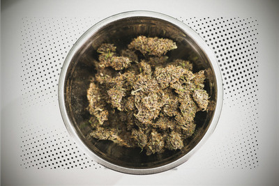Zwei Ernten Aus Einem Grow Royal Queen Seeds