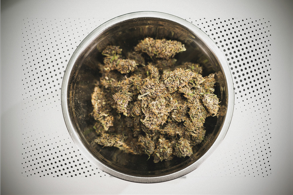 Ist es besser, Cannabis früh oder spät zu ernten? RQS Blog