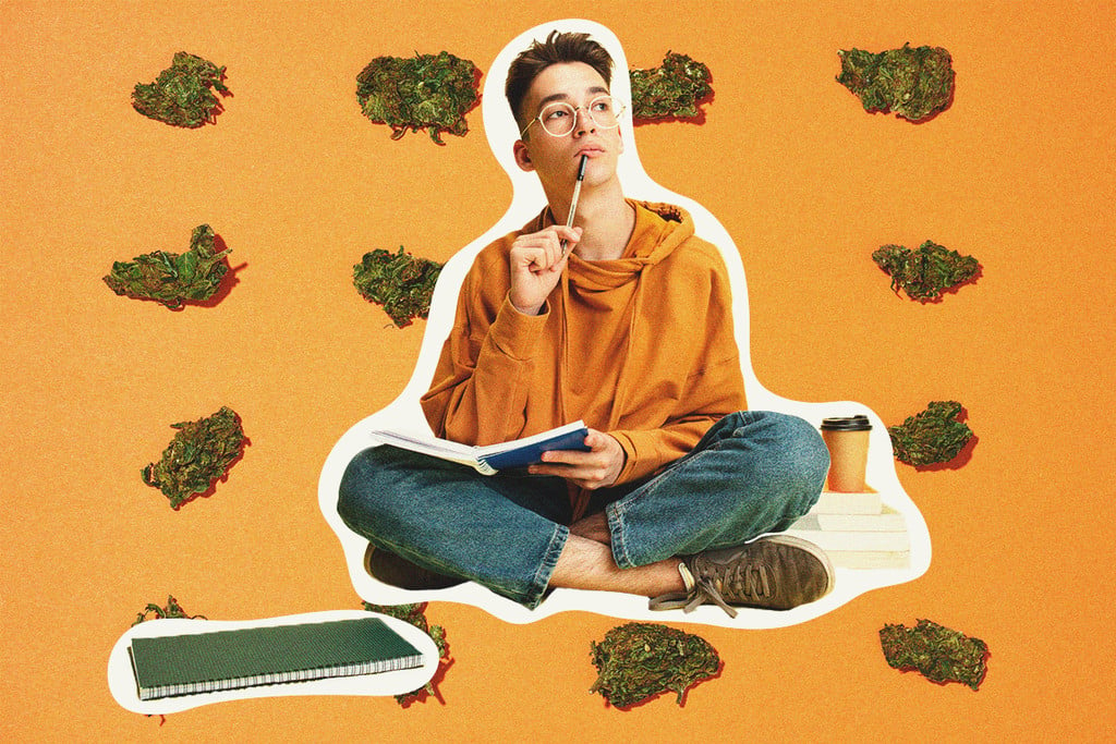 Könnte Cannabis tatsächlich helfen, besser zu lernen?