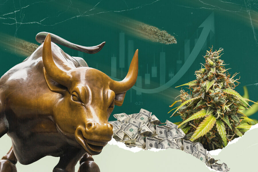 Zum Verständnis von Cannabis-Aktien