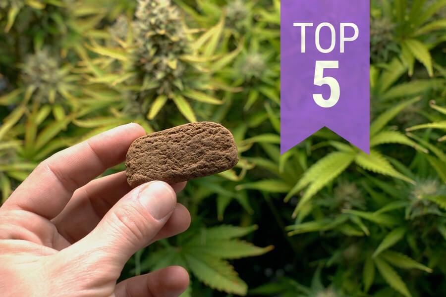 Top 5 der Cannabissorten für die Herstellung von Haschisch