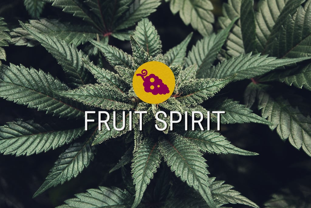 Fruit Spirit Hanfsamen Feminisierte