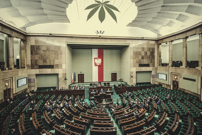 In polnischen Apotheken wird endlich medizinisches Cannabis erhältlich sein