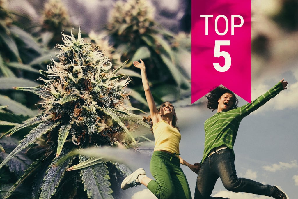 Die Top 5 der energiespendendsten Cannabissorten