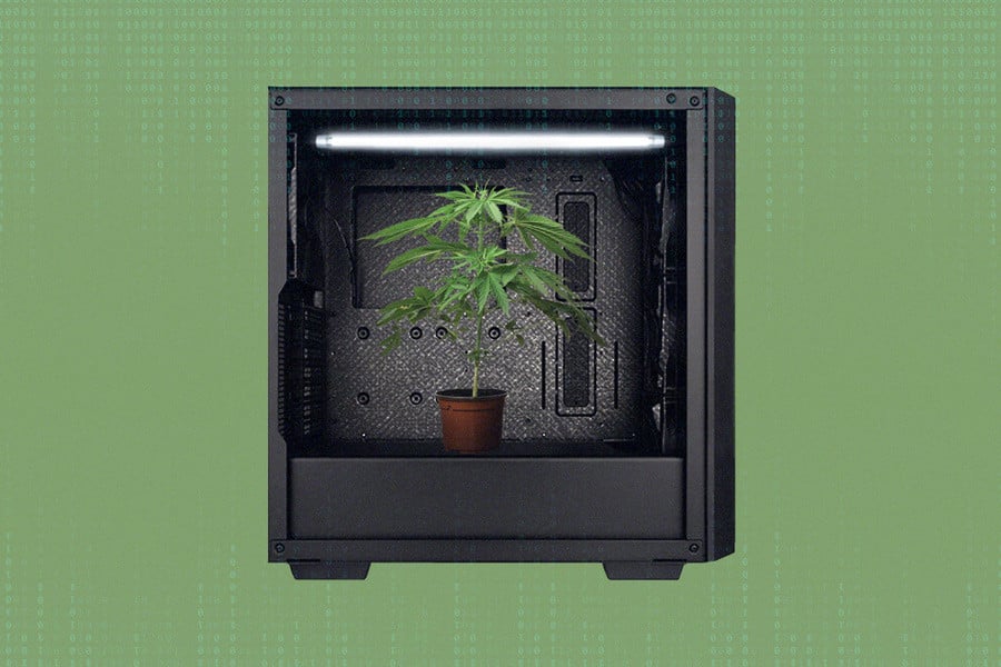 Mikroanbau von Cannabis in einem Computerturm