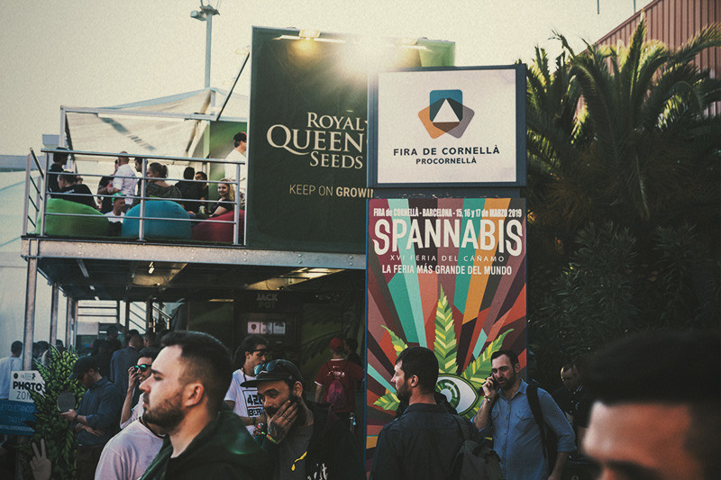 Spannabis 2019: Royal Queen Seeds als Beste Saatgutbank ausgezeichnet!