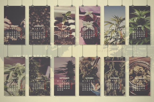 Monatlicher Cannabisanbau-Leitfaden: Nordeuropa, USA & Kanada