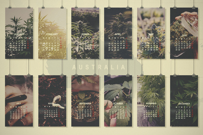 Die Top Monat-für-Monat-Tipps für den Cannabisanbau in Australien