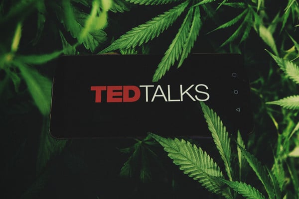 Cannabis-TED-Talks – Die besten TED Talks über Weed