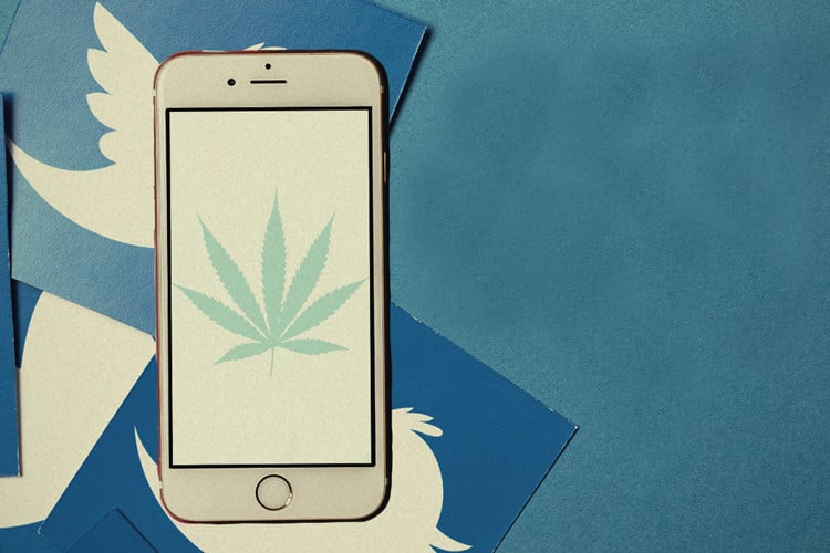 10 Cannabis-Twitter-Accounts, denen Du unbedingt folgen musst