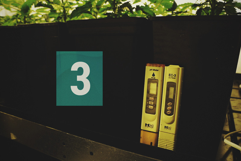 Cannabis und Wasserqualität Teil 3: Die Wahl der Wasserquelle