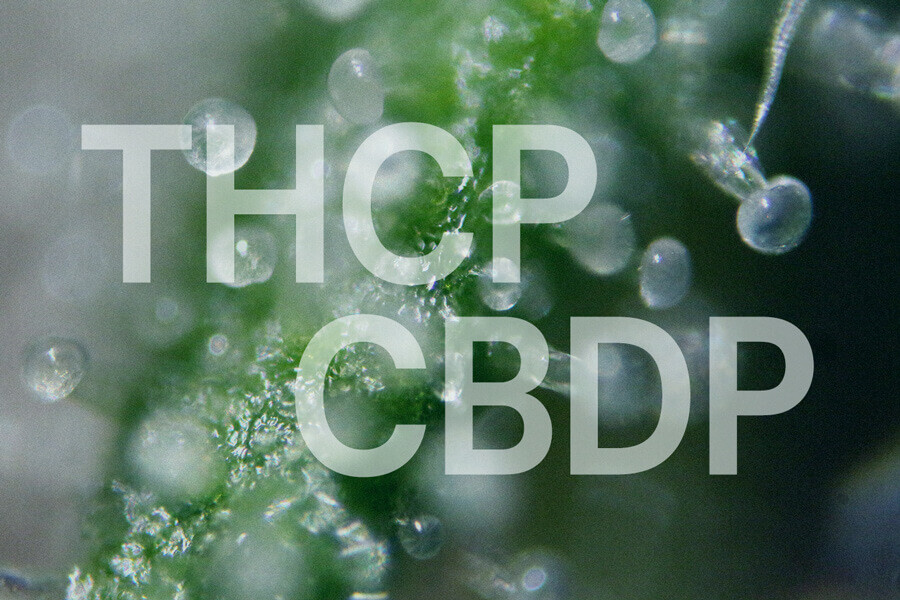 THCP und CBDP: Eine umfassende Einführung in zwei neue Cannabinoide