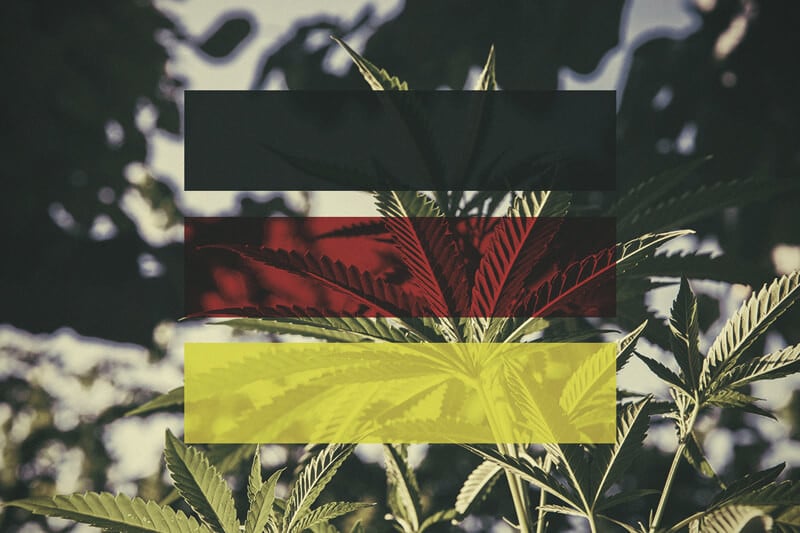 Wie man in Deutschland Cannabis im Freien anbaut, Monat für Monat