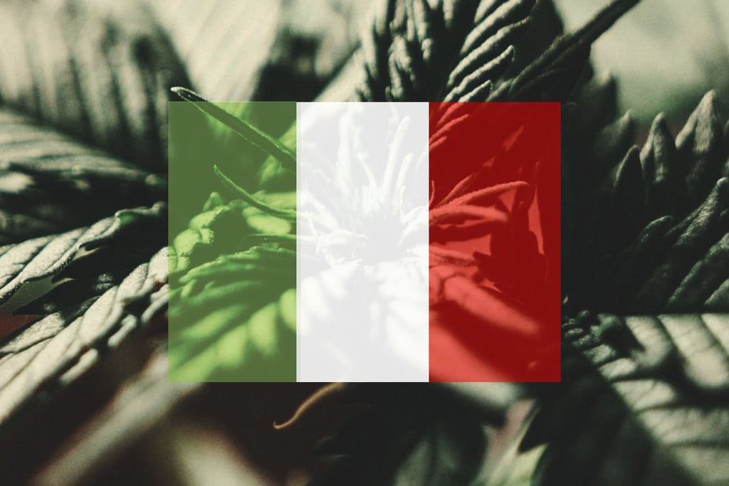 Wie man in Italien Cannabis im Freien anbaut: Monat für Monat 