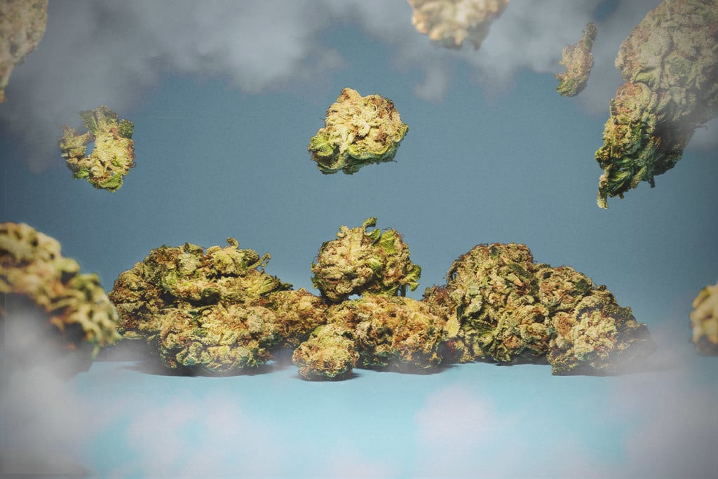 Ist es möglich eine Überdosis Cannabis zu nehmen?