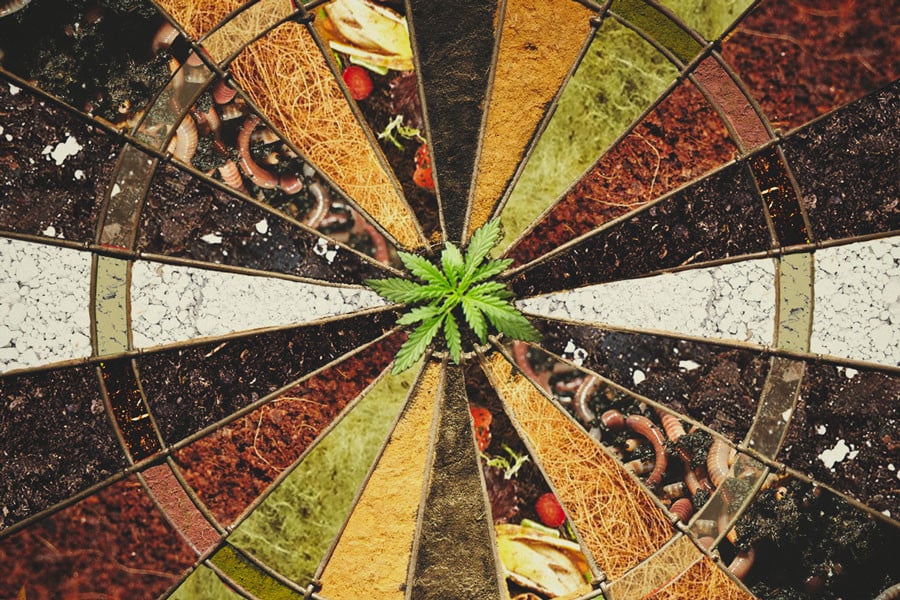 Was ist das beste Anbaumedium für Cannabis?