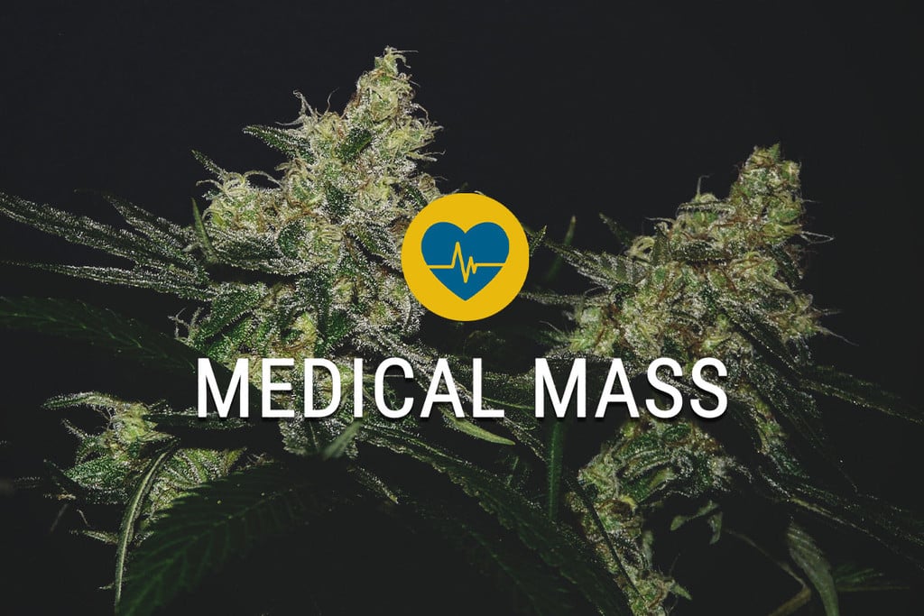 Medical Mass: Genieße alles, was Cannabis zu bieten hat