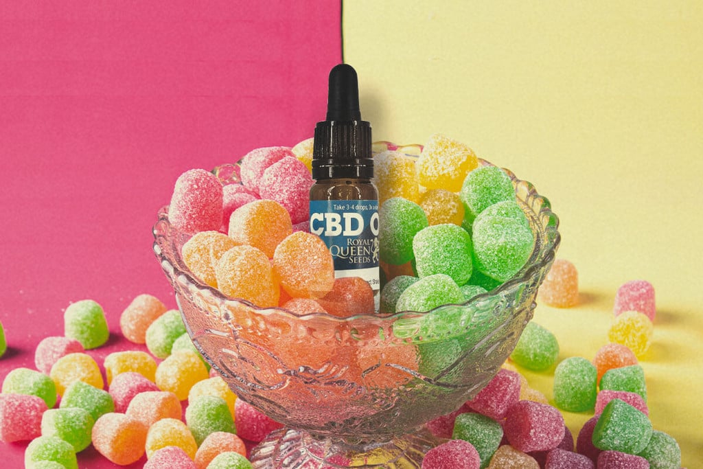 CBD-Fruchtgummis: Alles, was Du darüber wissen musst