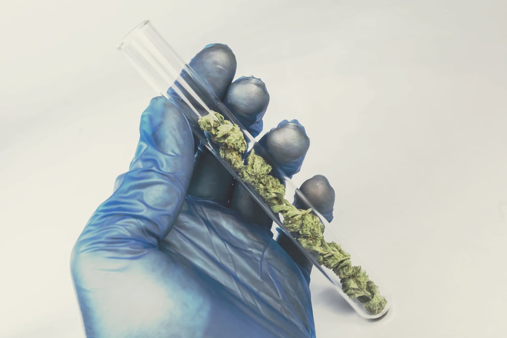 Wie Hürden den Fortschritt der Cannabis-Forschung beeinträchtigen