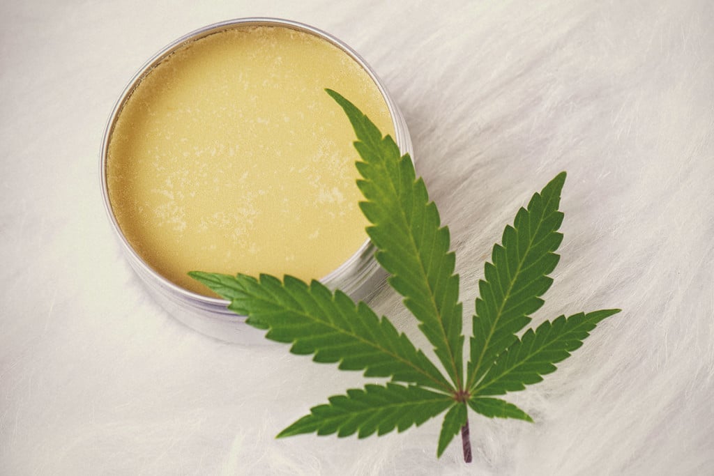 Wie man Bio-Cannabissalbe herstellt