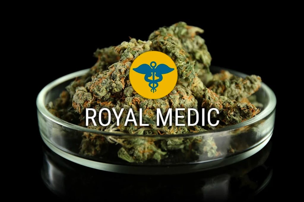 Cannabissorte Royal Medic: Genieße THC und CBD Seite an Seite