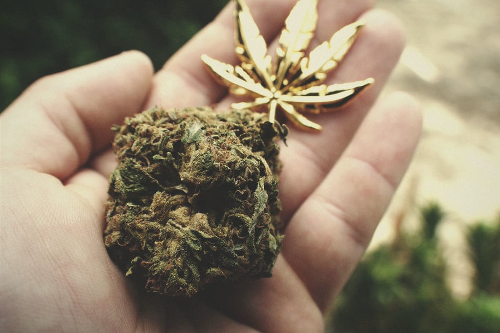 Was wird als THC-reiches Cannabis angesehen?