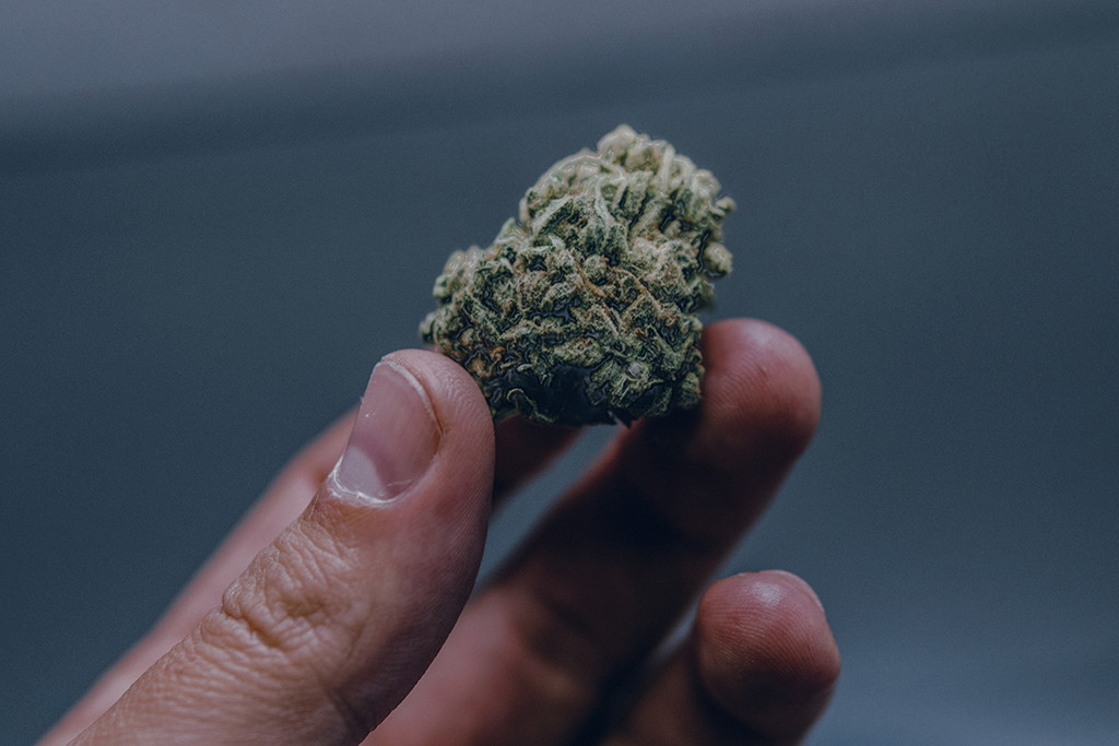 Das Weed ist nass: Wie man das Problem erkennt, verhindert und löst