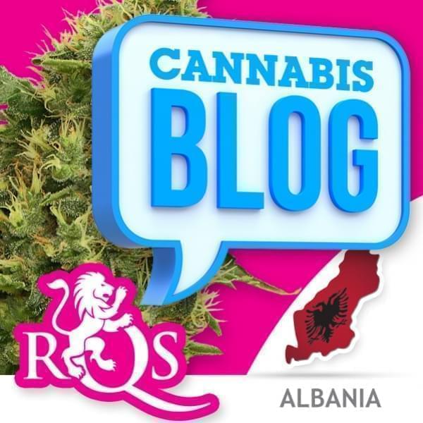 Cannabis in Albanien