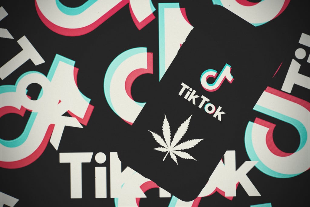 6 TikTok-Accounts, die man sich high ansehen sollte