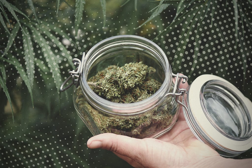 Weed lüften: Wie geht das und warum macht man es?