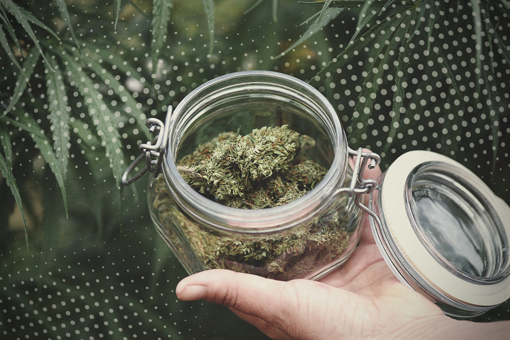 Weed lüften: Wie geht das und warum macht man es?