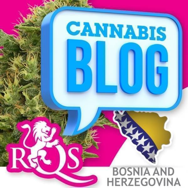 Cannabis in Bosnien Herzegowina