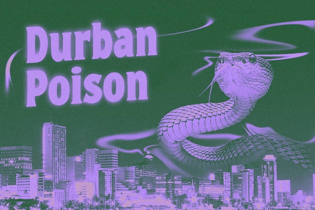Sorte Durban Poison: Entdecke diese legendäre Landrasse