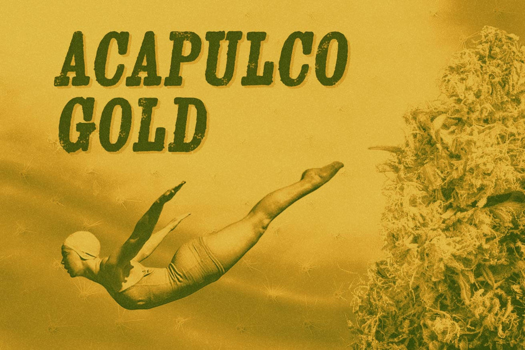 Sorte Acapulco Gold