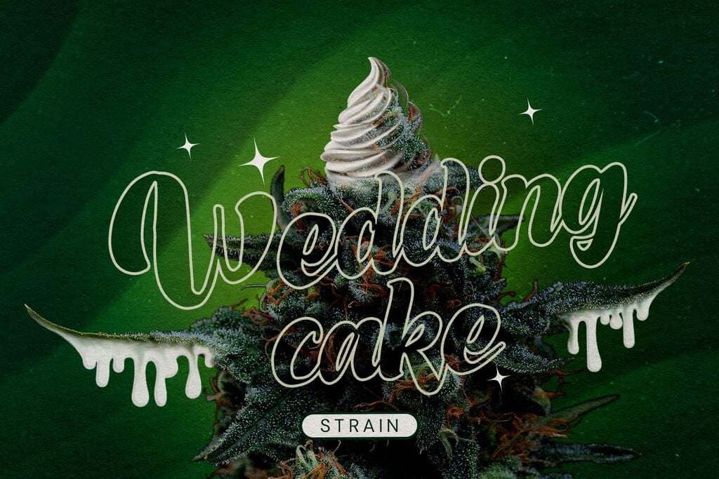 Wedding Cake Sortenreview