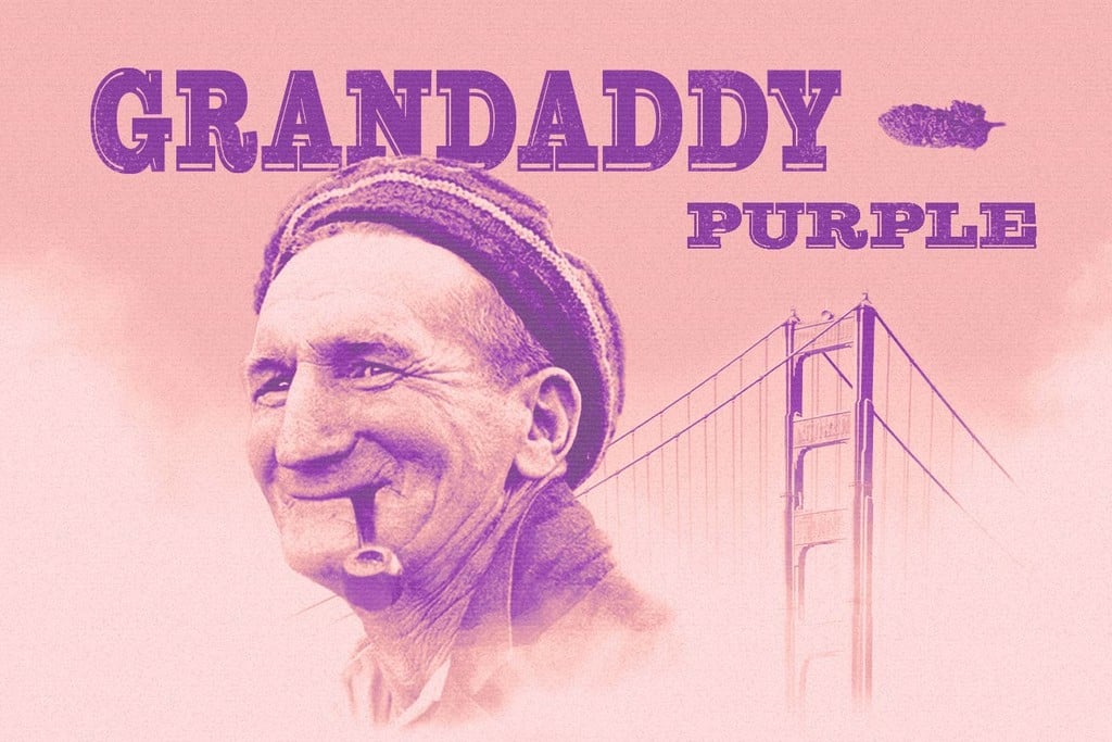 Granddaddy Purple: Eine breit machende Legende