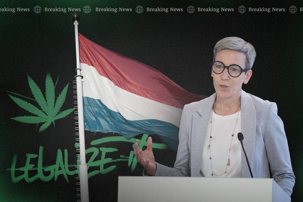 Cannabisreform: Luxemburg legalisiert Eigenanbau