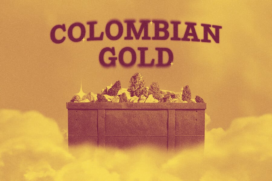 Colombian Gold: Der Goldstandard für Landrassen-Cannabis