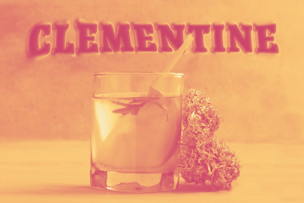 Clementine: Entdecke diese fruchtige Cannabissorte