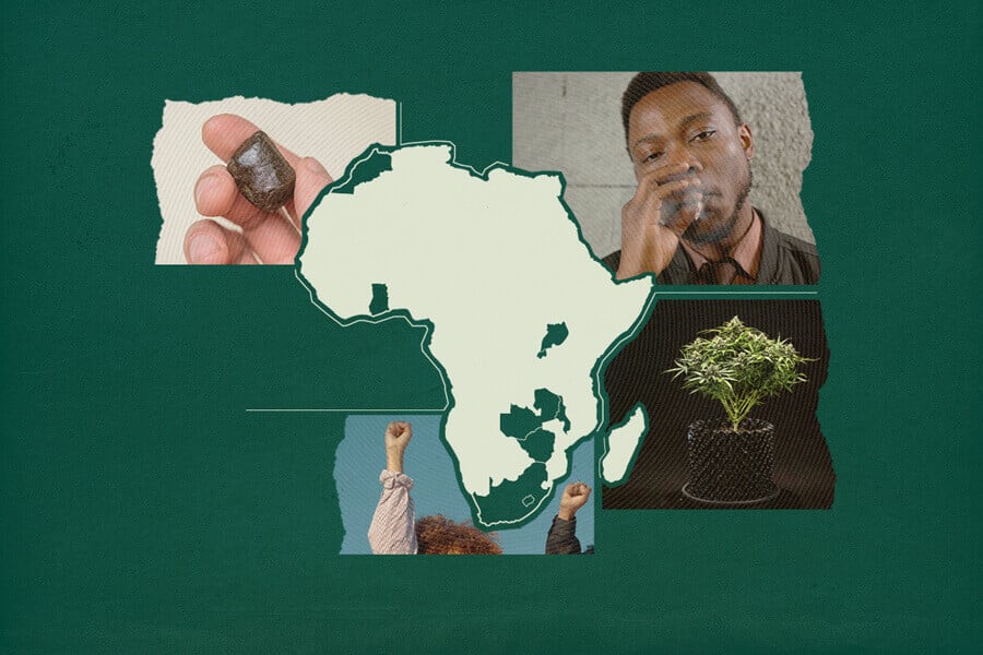 Cannabislegalisierung in Afrika: Die neuesten Nachrichten
