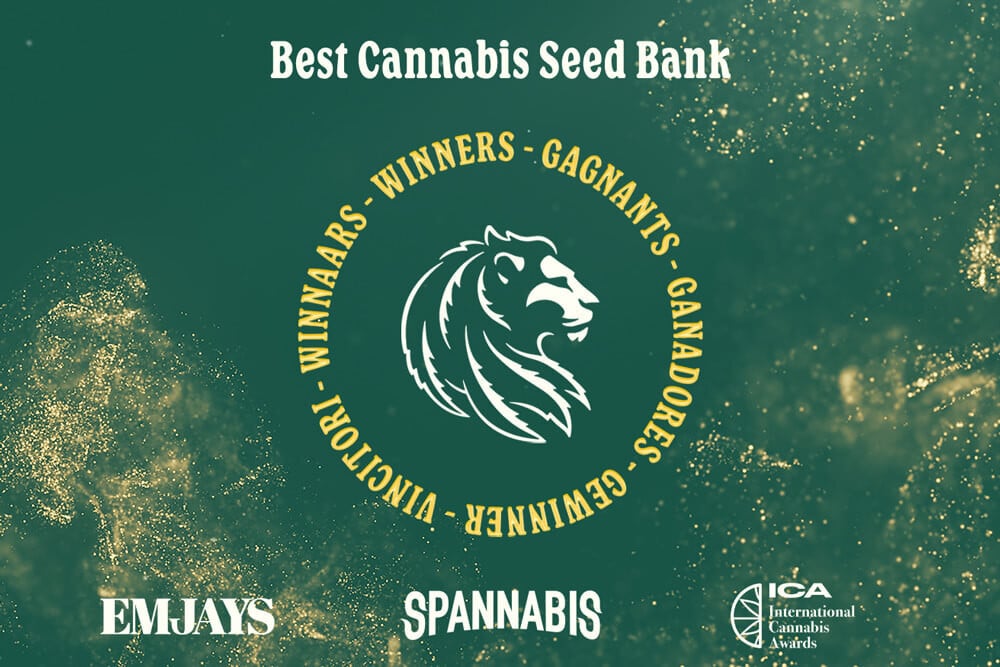 RQS wird bei Spannabis, ICA und EMJAYS als beste Saatgutbank ausgezeichnet