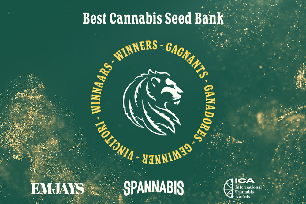 RQS wird bei Spannabis, ICA und EMJAYS als beste Saatgutbank ausgezeichnet
