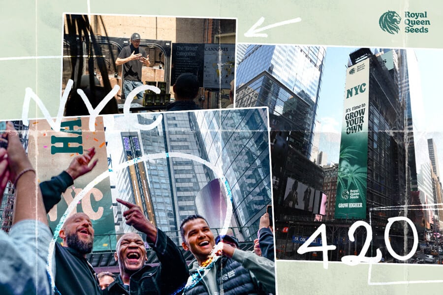 420 gemeinsam mit Mike Tyson feiern: Ein RQS-Spektakel!