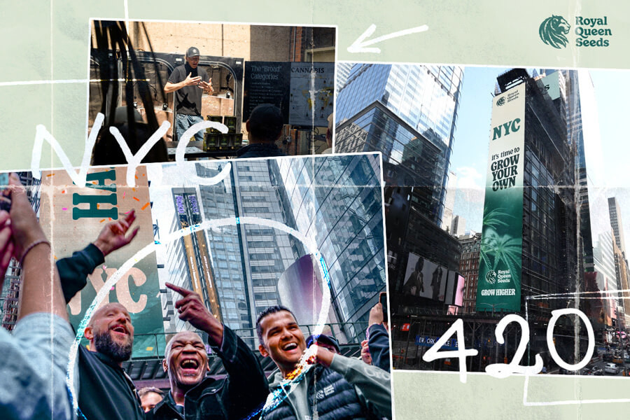 420 gemeinsam mit Mike Tyson feiern: Ein RQS-Spektakel!