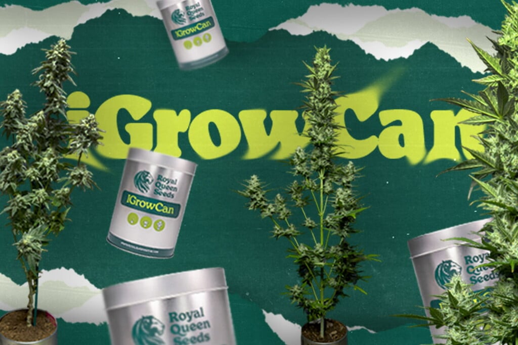 Entdecke die iGrowCan: Der einfachste Weg, deinen ersten Cannabis-Grow zu starten