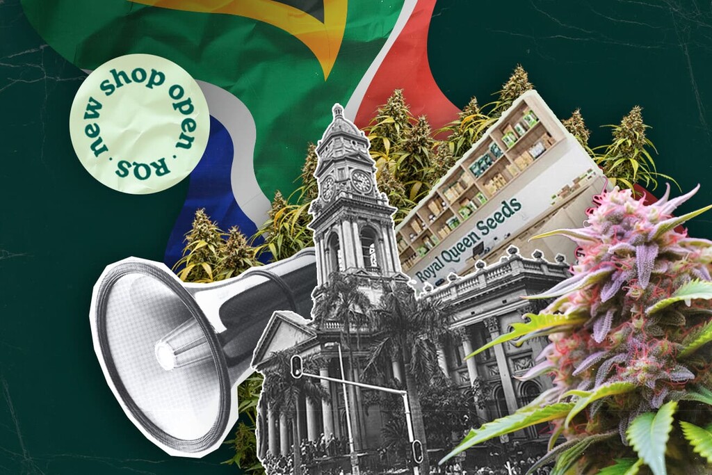 Royal Queen Seeds eröffnet ersten Shop in Durban und bringt Premium-Cannabissamen nach Südafrika
