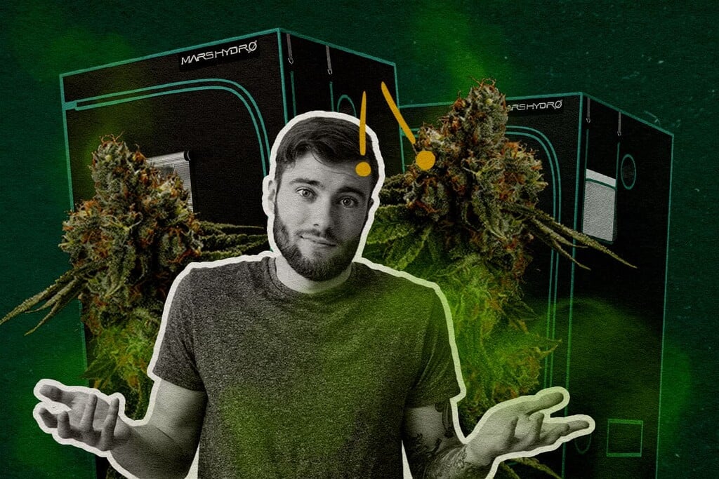 Sind Growboxen geruchsdicht? Das solltest du darüber wissen