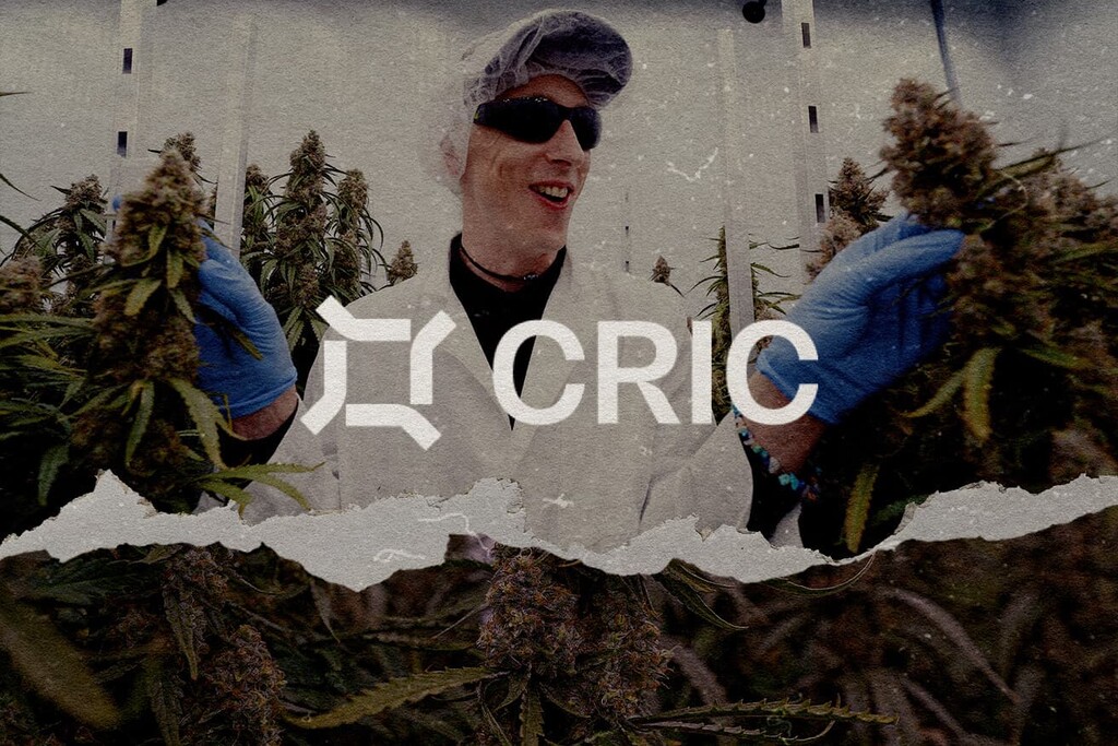 CRIC Labs | Cannabis Conversations