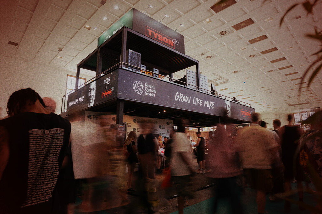 Mike Tyson x RQS bei der Mary Jane 2025 – eine legendäre Session