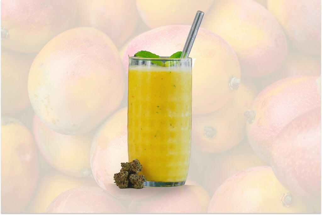 Cannabis-Mango-Smoothie einfach mixen